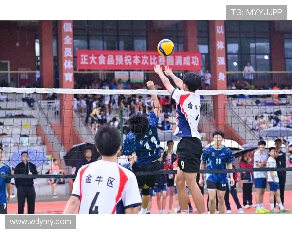 排球盛宴：深入了解成都排球队的精彩比赛历程与经验分享