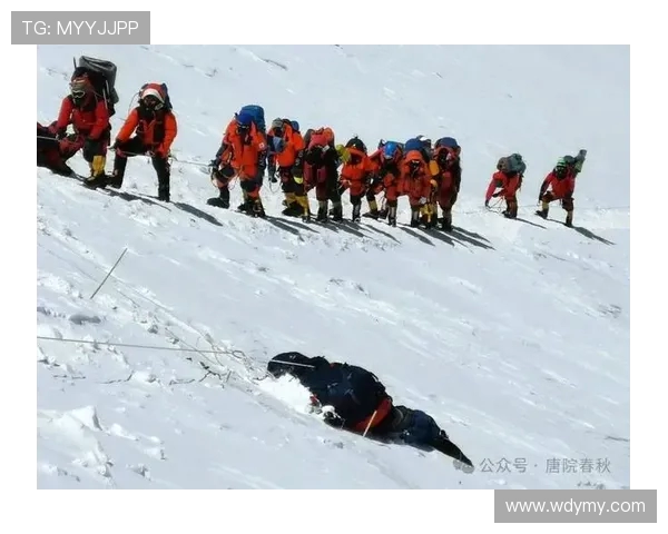 攀登人生的高度与深度：陈丽的攀岩故事与心路历程