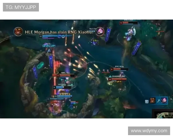 王者荣耀深度解析RNG战队灵活应变策略与战术创新之路