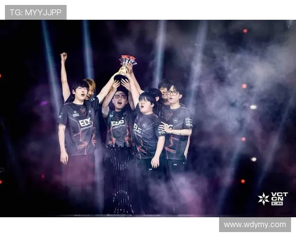 英雄联盟耐力排行榜揭晓EDG荣登第五名展现强大韧性与团队精神