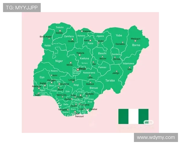 尼日利亚与韩国精彩对决集锦回顾与分析 尼日利亚与韩国精彩对决集锦回顾与分析